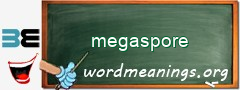 WordMeaning blackboard for megaspore